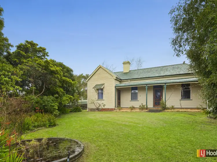 Main view of Homely house listing, 61 Harris Rd, Elliminyt VIC 3250