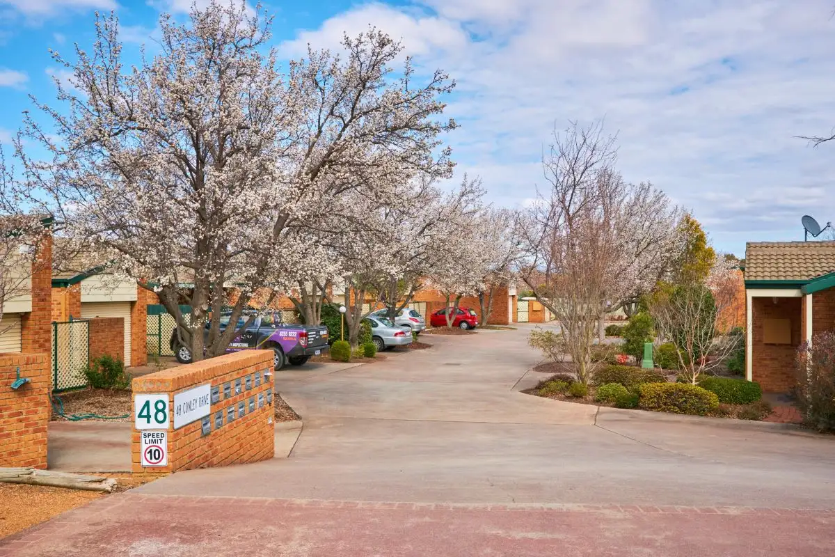 Main view of Homely townhouse listing, 3/48 Conley Drive, Melba ACT 2615
