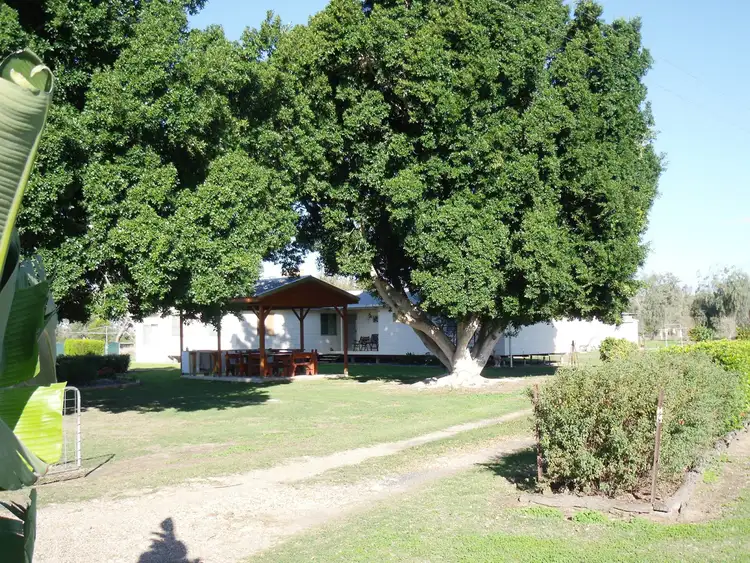 Sixth view of Homely house listing, 303 Polo Road, Goondiwindi QLD 4390