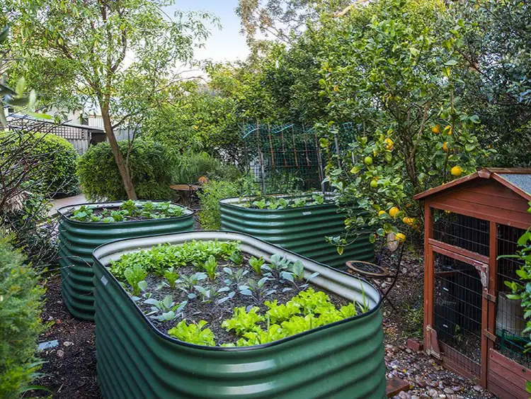 Sixth view of Homely house listing, 27 Kadina Road, Gooseberry Hill WA 6076