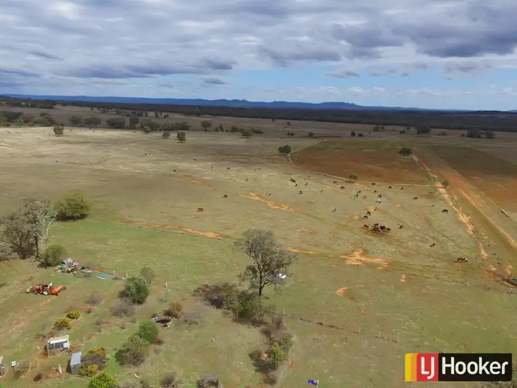 Fourth view of Homely rural property listing, 2239 Adams Scrub Road, Warialda Rail NSW 2402