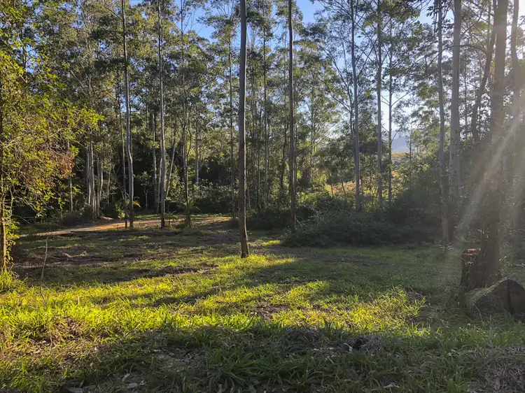 Main view of Homely rural property listing, 602 Hogans Road, Lansdowne NSW 2430