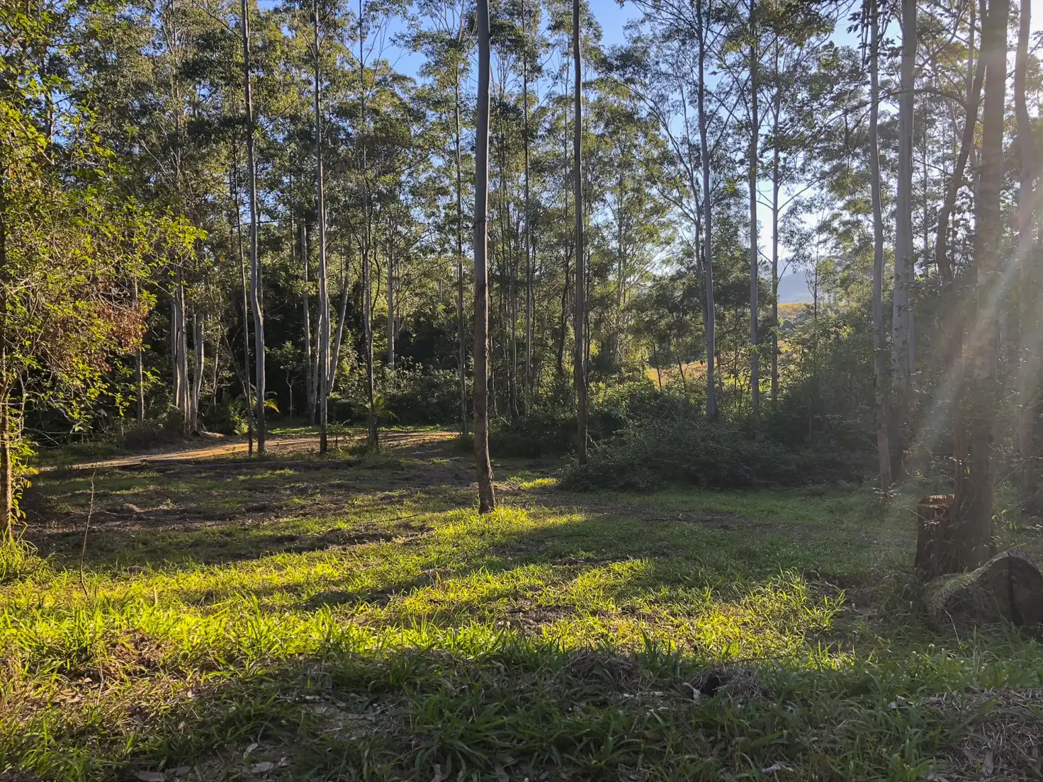Main view of Homely rural property listing, 602 Hogans Road, Lansdowne NSW 2430