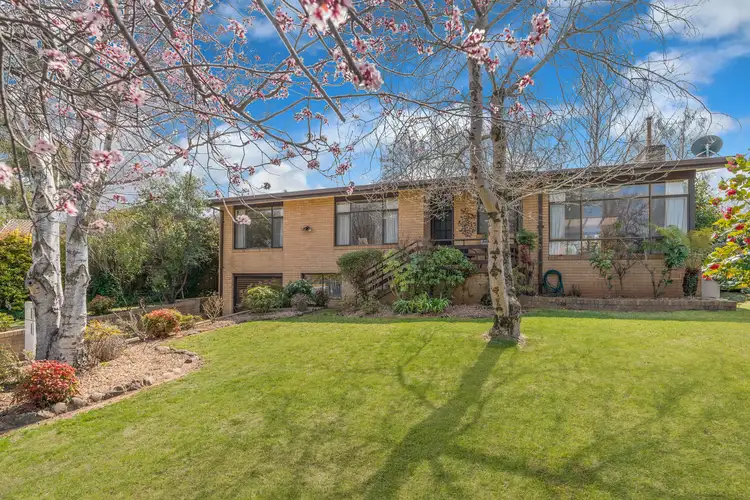 Main view of Homely house listing, 31 Larela Circuit, Orange NSW 2800