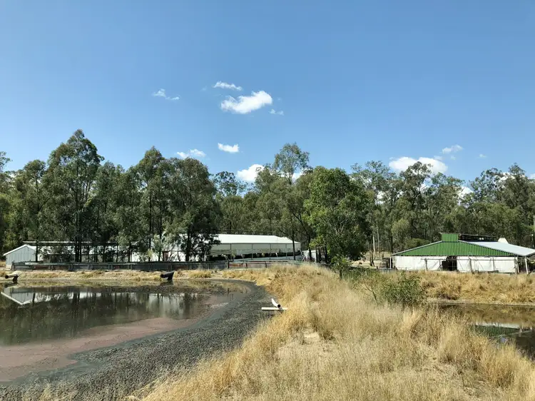 Fifth view of Homely rural property listing, 290 Luck Road, Kingaroy QLD 4610