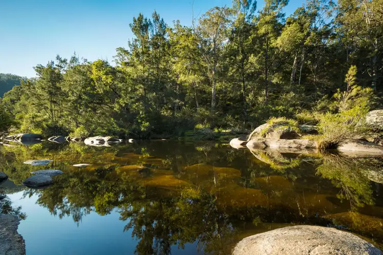 Third view of Homely rural property listing, 139 Eagles Nest Rd, Brogo NSW 2550