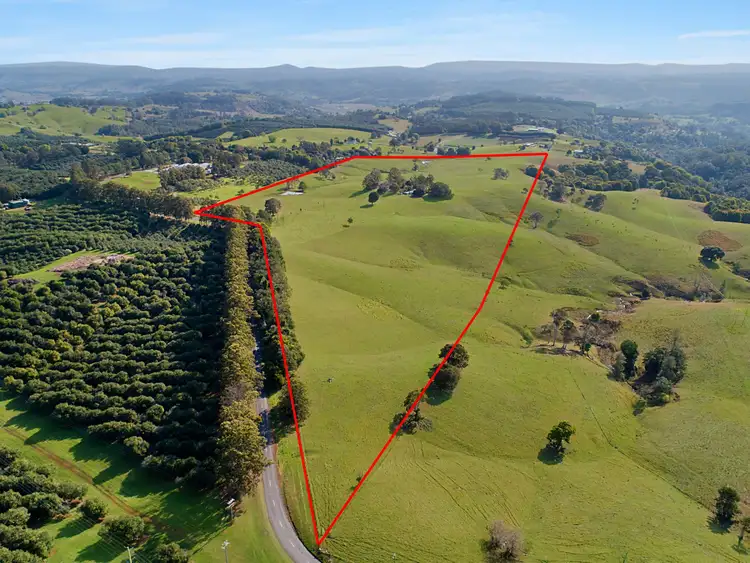 Third view of Homely rural property listing, 1321 Dunoon Road, Dunoon NSW 2480