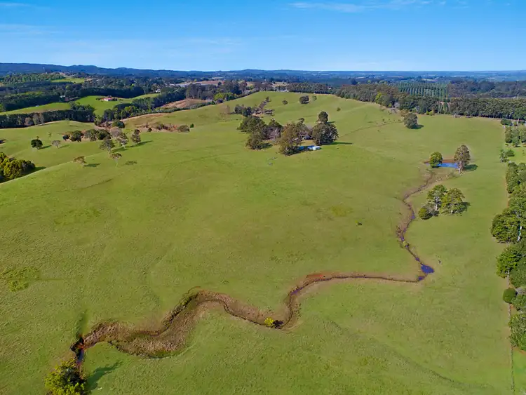 Fourth view of Homely rural property listing, 1321 Dunoon Road, Dunoon NSW 2480