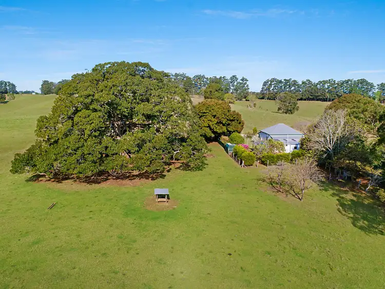 Fifth view of Homely rural property listing, 1321 Dunoon Road, Dunoon NSW 2480