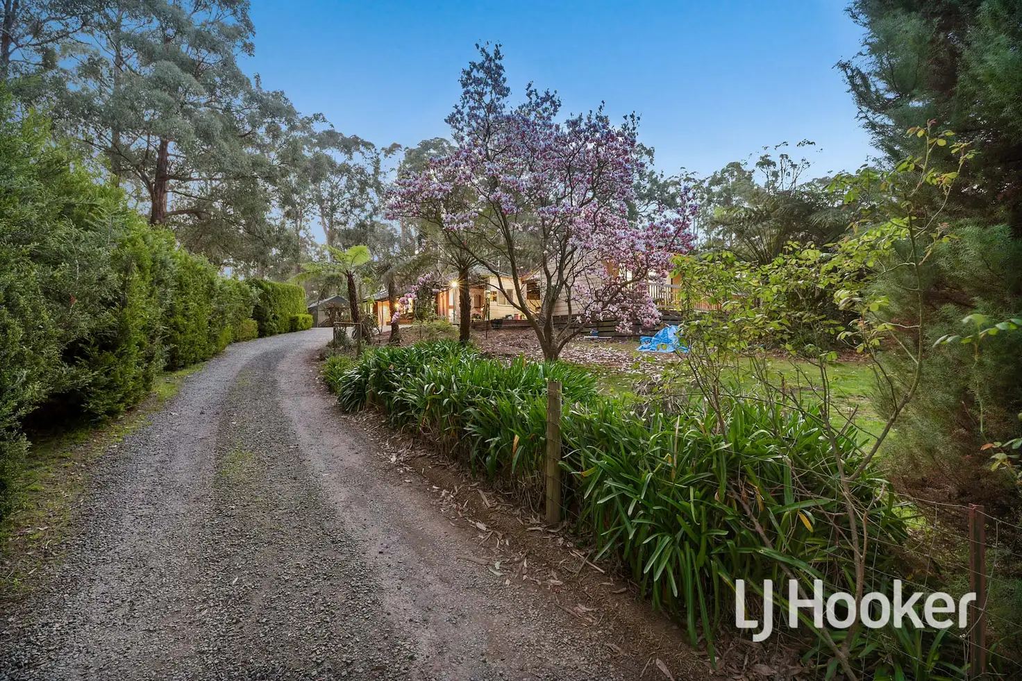 Main view of Homely house listing, 210 Gembrook Road, Gembrook VIC 3783