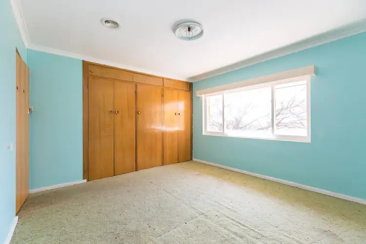 Sixth view of Homely house listing, 33 Quandong Street, O'connor ACT 2602