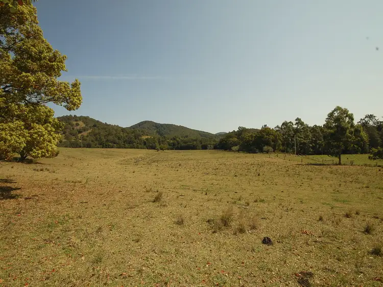 Fourth view of Homely rural property listing, 1267 Wherrol Flat Road, Wherrol Flat, Wingham NSW 2429