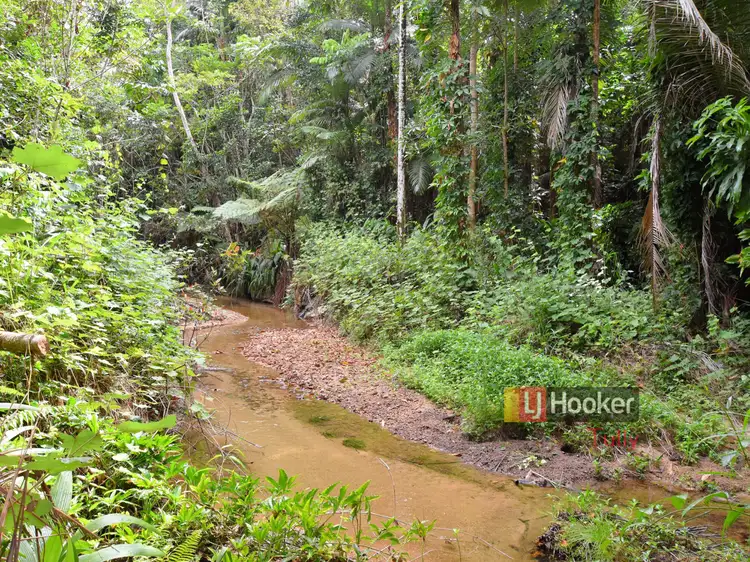 Third view of Homely house listing, 687 Old Tully Road, Djarawong QLD 4854