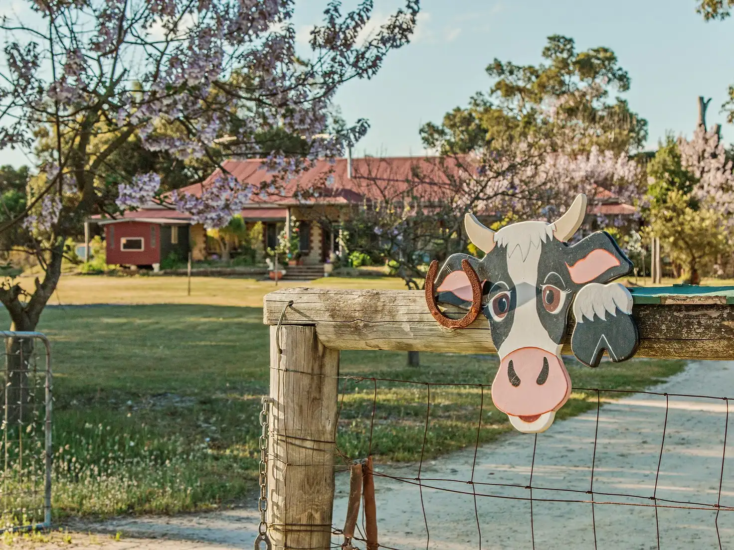 Main view of Homely house listing, 311 Nicolas Drive, Casuarina WA 6167