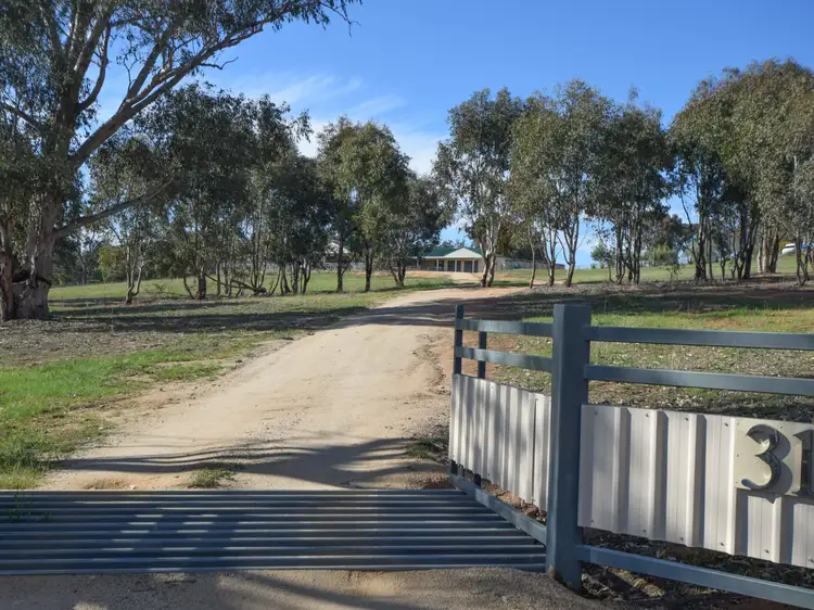 31 Saines Road, Young NSW 2594