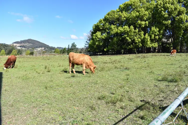Third view of Homely land listing, Lot 1 Upper Warrell Creek Road, Congarinni NSW 2447