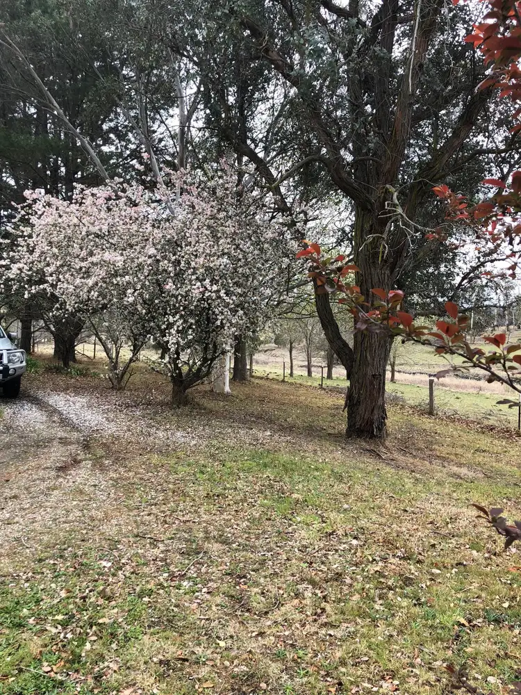 Sixth view of Homely rural property listing, 1537 Princes Highway, Wolumla NSW 2550