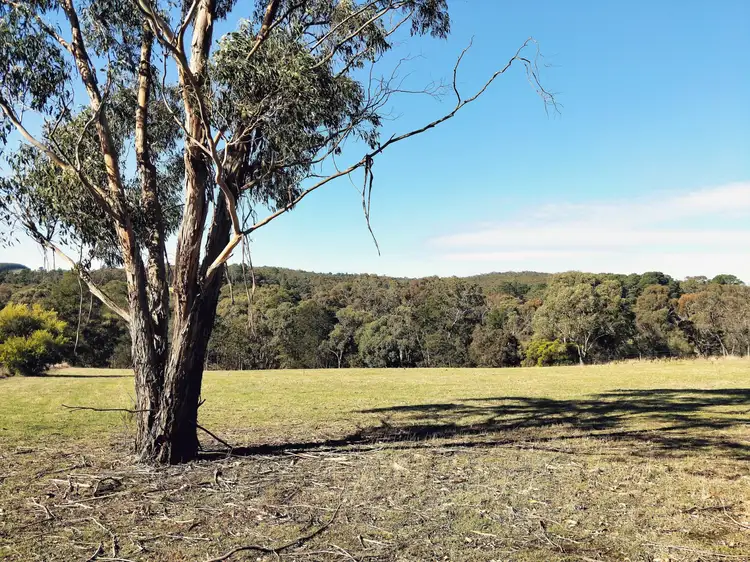 Third view of Homely rural property listing, 36 Hewitts Road, Linton VIC 3360