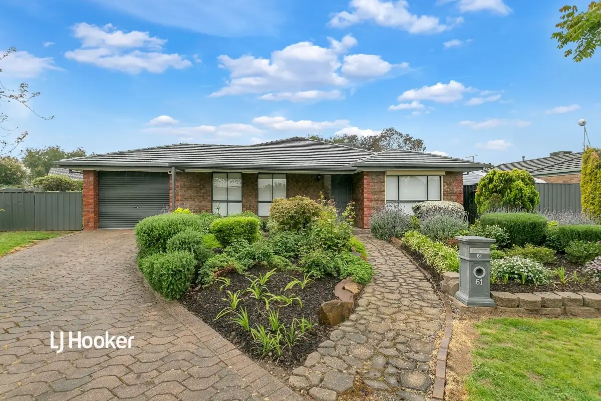 Main view of Homely house listing, 61 Lynton Avenue, Gilles Plains SA 5086