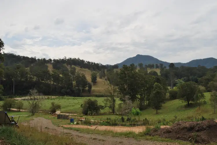 Fourth view of Homely rural property listing, 113 Upper Buckrabendinni Road, Buckra Bendinni NSW 2449