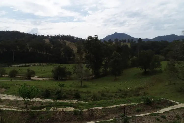 Fifth view of Homely rural property listing, 113 Upper Buckrabendinni Road, Buckra Bendinni NSW 2449