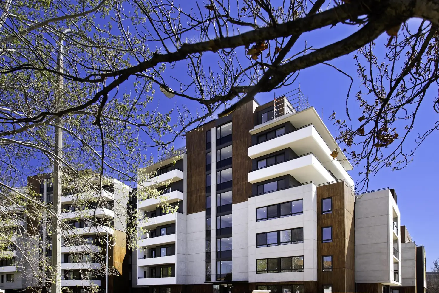 Main view of Homely apartment listing, 35/7 Hely Street, Griffith ACT 2603