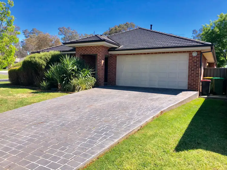 20 willaroo street