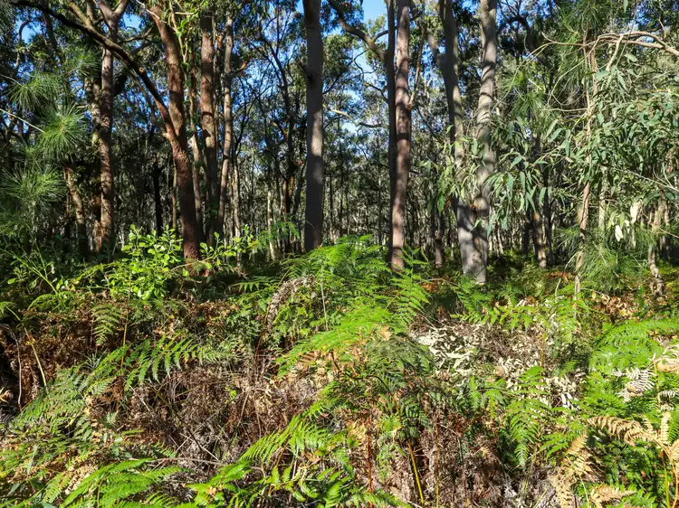 Fifth view of Homely land listing, 40-42 Koree Street, Pindimar NSW 2324