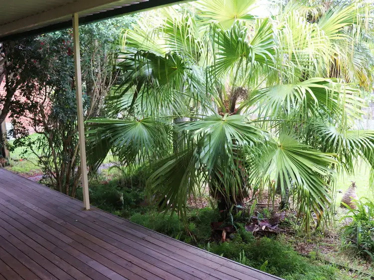 34 Ronald Road, Taree NSW 2430