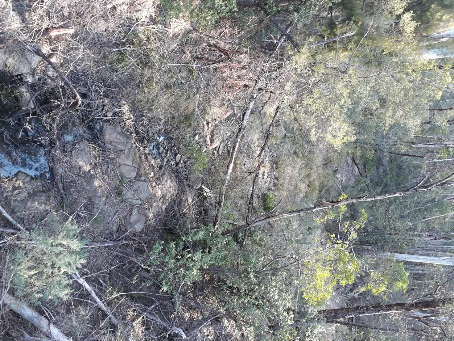 Main view of Homely land listing, 290 Fergusons Road, Buchan South VIC 3885