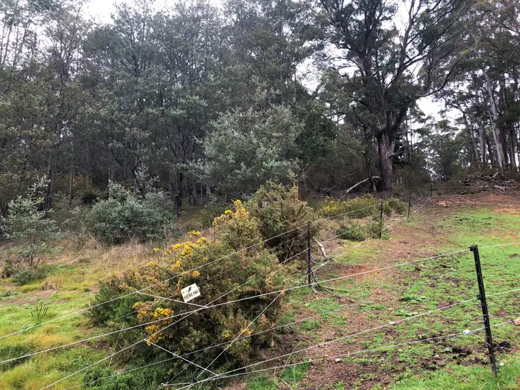 Second view of Homely land listing, 88 Main Street, St Marys TAS 7215