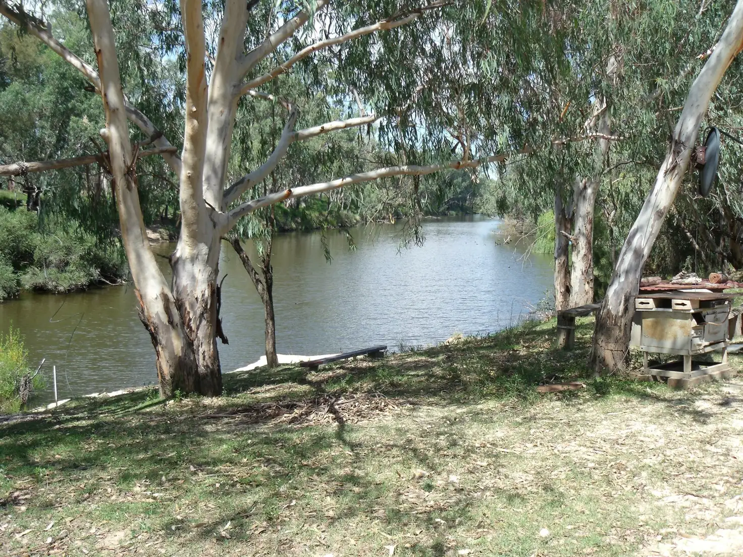 Main view of Homely rural property listing, 2830 Tarwoona Rd, Camp Creek NSW 4385