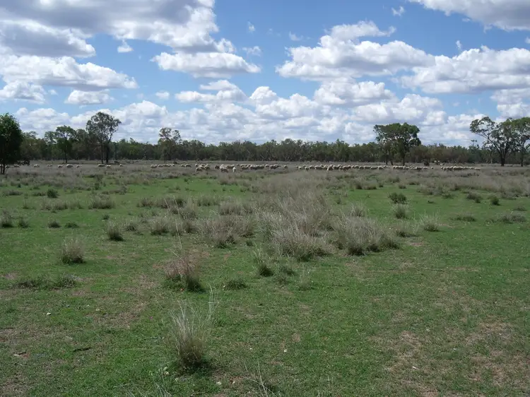 Fourth view of Homely rural property listing, 2830 Tarwoona Rd, Camp Creek NSW 4385