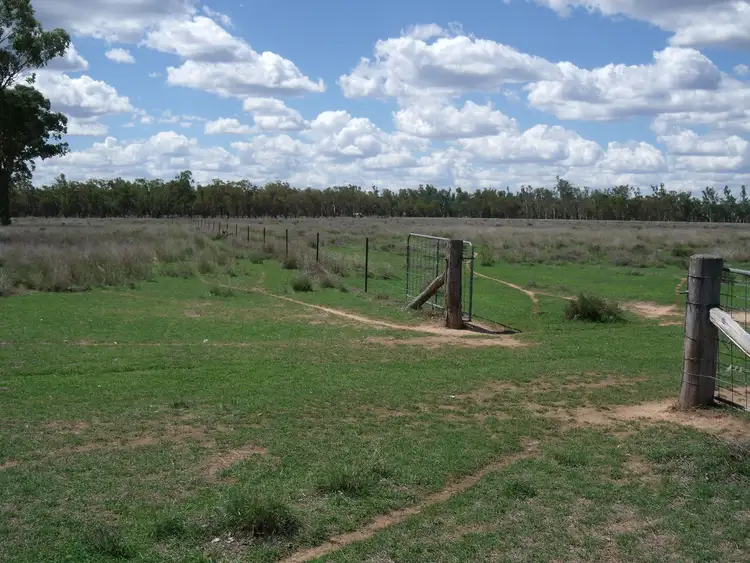 Sixth view of Homely rural property listing, 2830 Tarwoona Rd, Camp Creek NSW 4385