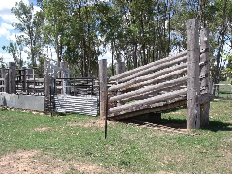 Seventh view of Homely rural property listing, 2830 Tarwoona Rd, Camp Creek NSW 4385