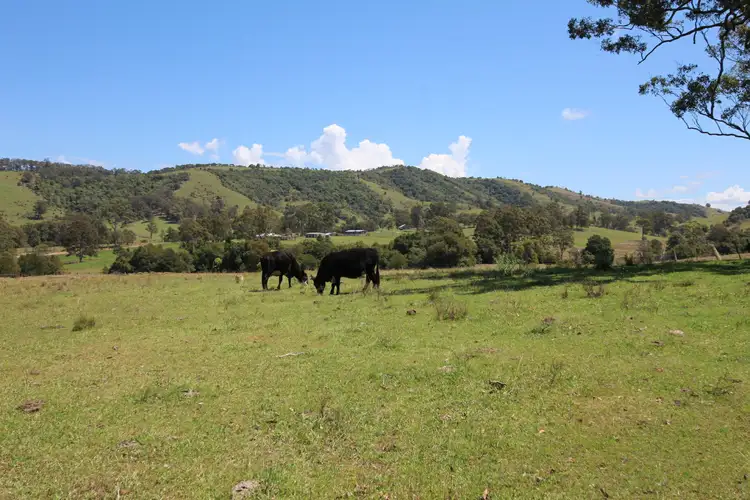 Main view of Homely land listing, 851 Wang Wauk Road, Wang Wauk NSW 2423