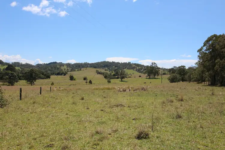 Second view of Homely land listing, 851 Wang Wauk Road, Wang Wauk NSW 2423
