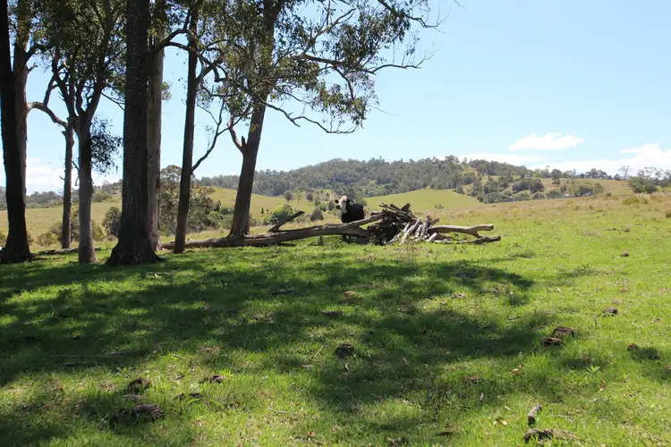 Fourth view of Homely land listing, 851 Wang Wauk Road, Wang Wauk NSW 2423