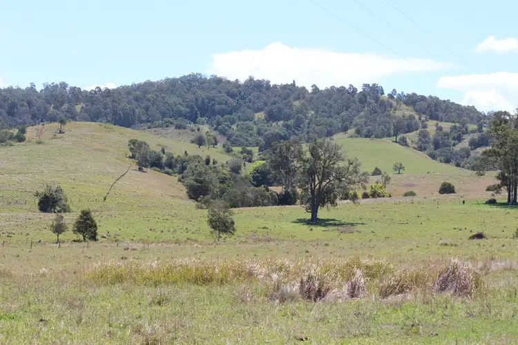 Fifth view of Homely land listing, 851 Wang Wauk Road, Wang Wauk NSW 2423