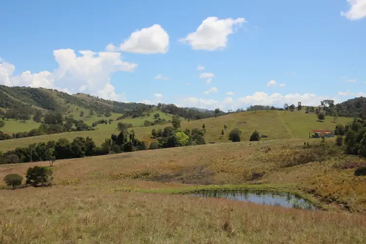 Seventh view of Homely land listing, 851 Wang Wauk Road, Wang Wauk NSW 2423