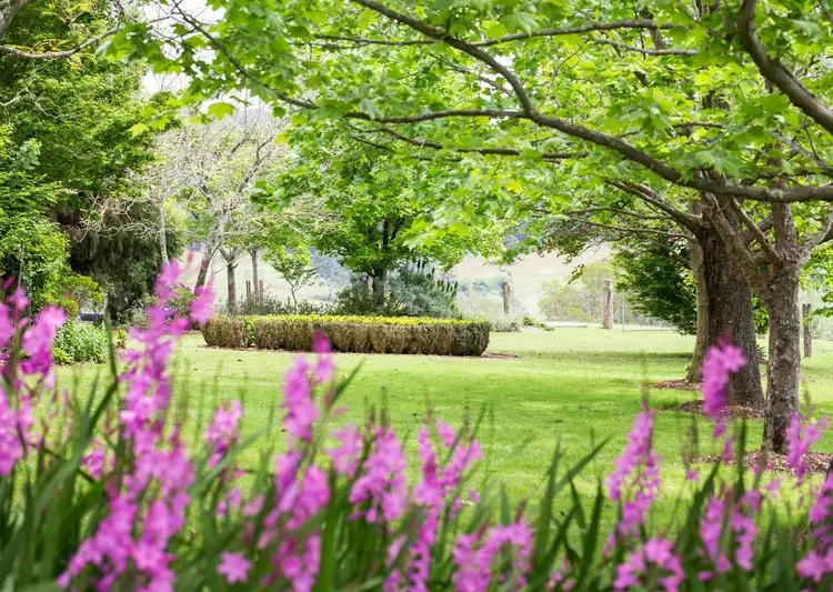 Third view of Homely rural property listing, 238 Caparra Road, Caparra via, Wingham NSW 2429