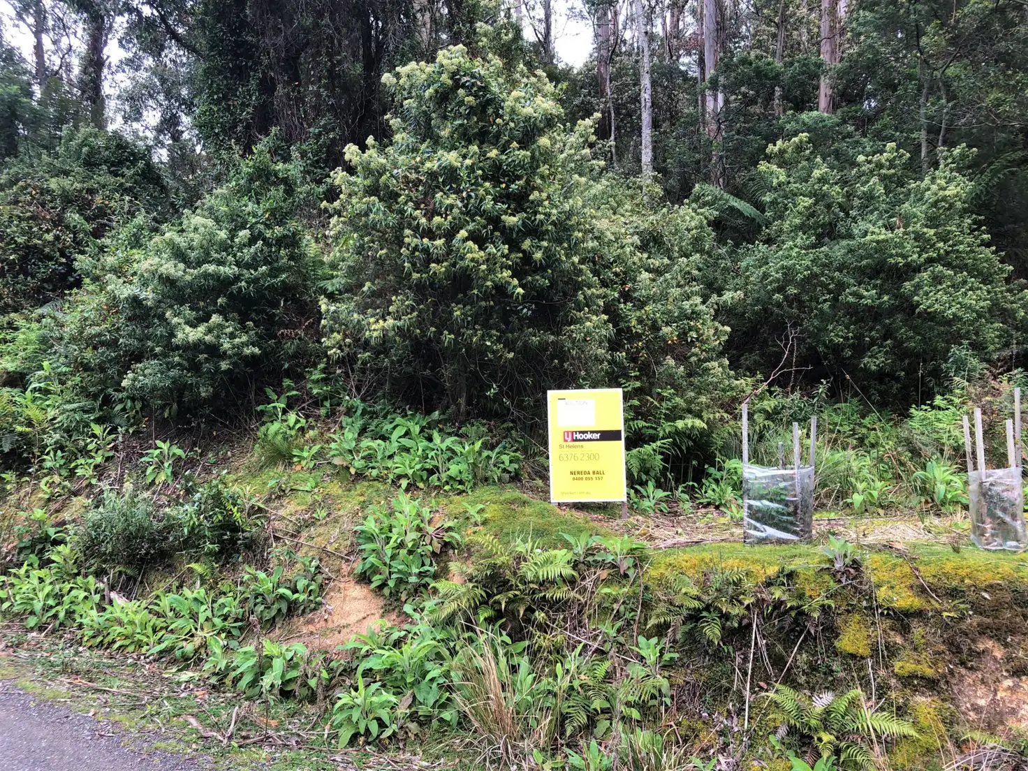 Main view of Homely land listing, PID 325773 Lottah Road, Lottah TAS 7216