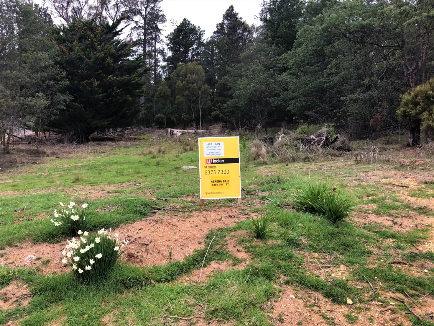 Main view of Homely land listing, PID 641602 Mangana Street, Mathinna TAS 7214