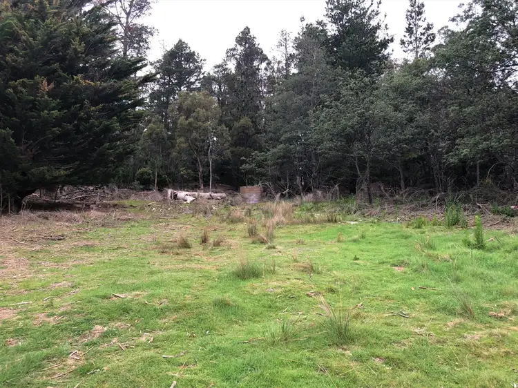 Third view of Homely land listing, PID 641602 Mangana Street, Mathinna TAS 7214