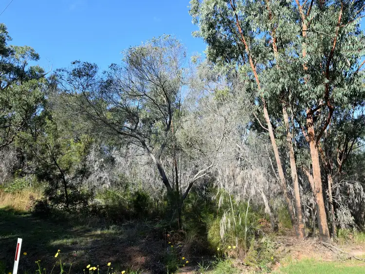 23 Tahlin Road, Russell Island QLD 4184