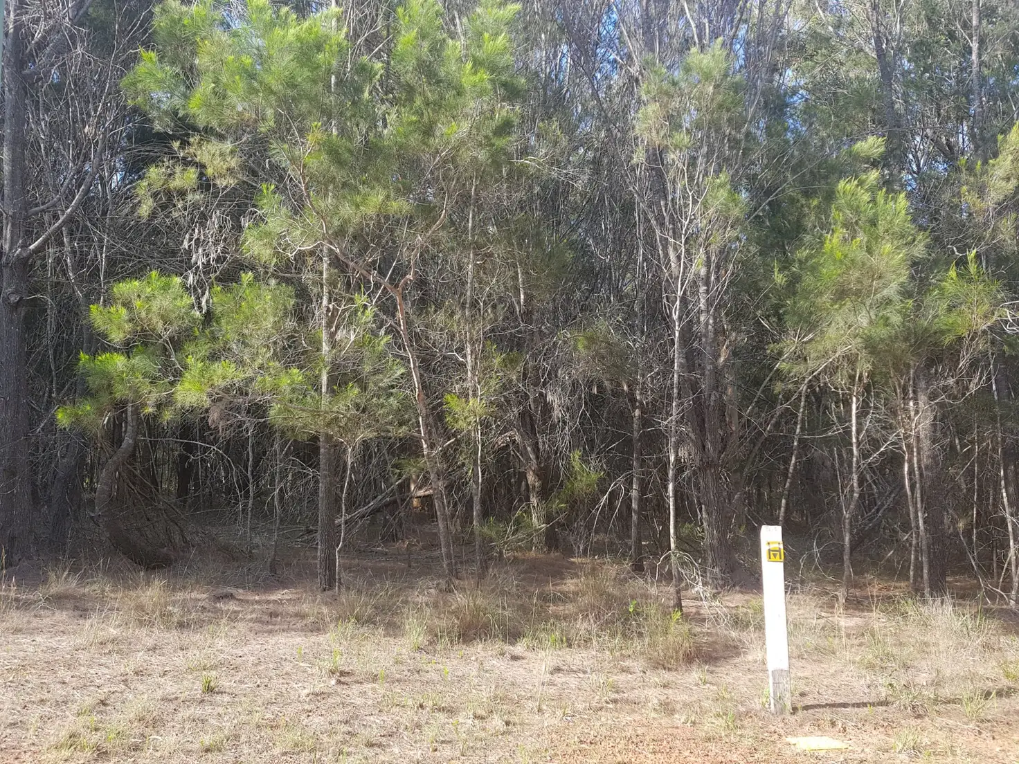 Main view of Homely land listing, 21 Rampart Drve, Russell Island QLD 4184