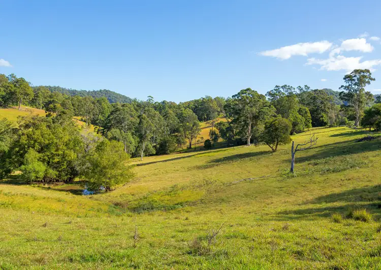 Second view of Homely rural property listing, 1739 Comboyne Road, Killabakh NSW 2429