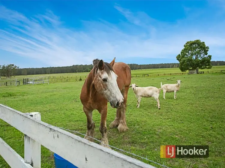Second view of Homely rural property listing, 93 Jobsons Lane, Mitchells Island NSW 2430