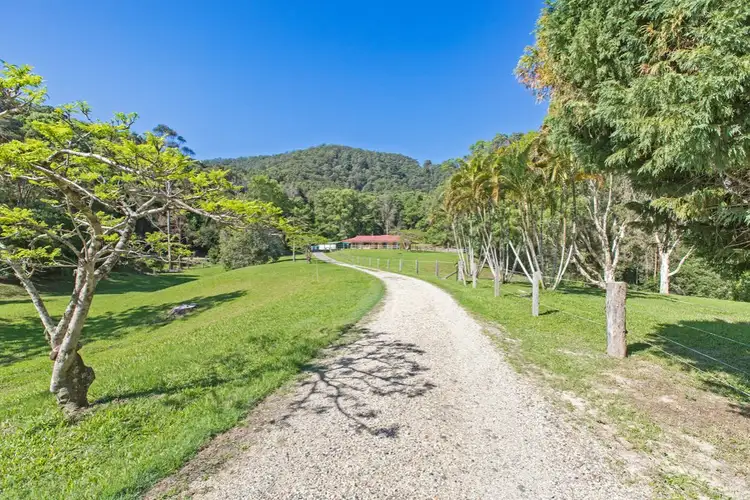 Second view of Homely rural property listing, 69 Hoop Pine Road, Dulguigan NSW 2484