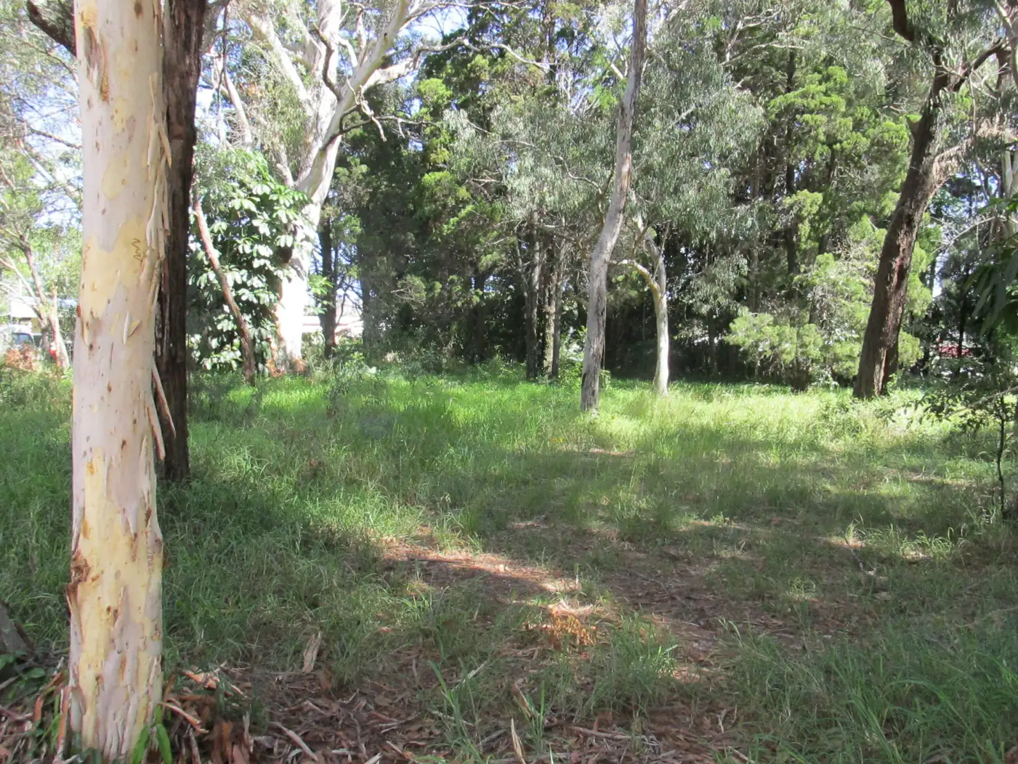 Main view of Homely land listing, 10 Orion Street, Macleay Island QLD 4184